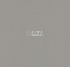 Линолеум Forbo Marmoleum Decibel on Order 336735 alloy фото 1 | FLOORDEALER